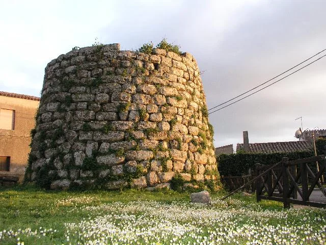 Siurgus donig
