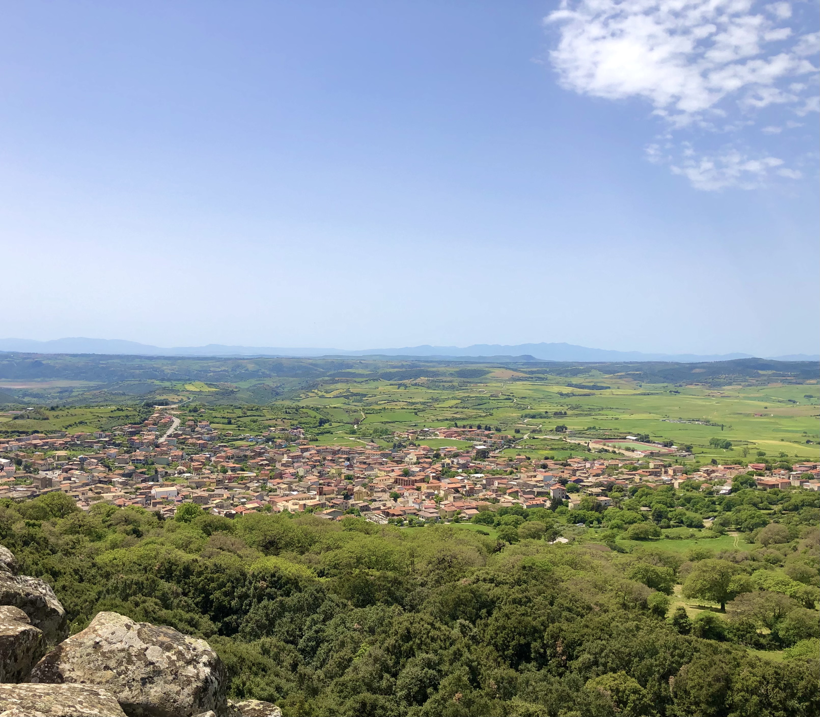 orroli (1)