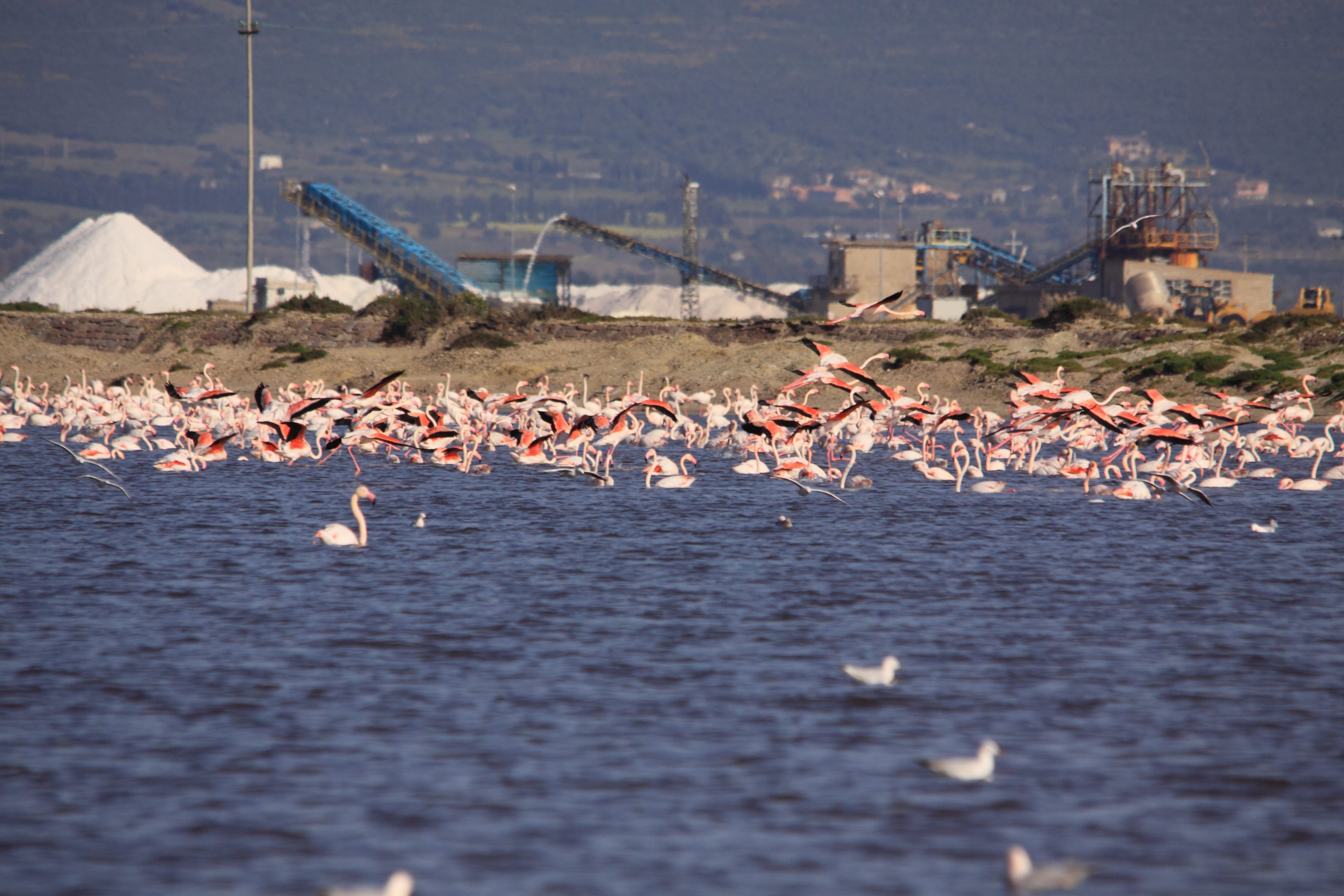 Sulcis_Sant_Antioco_Salina di Sant_Antioco@Imago Mundi