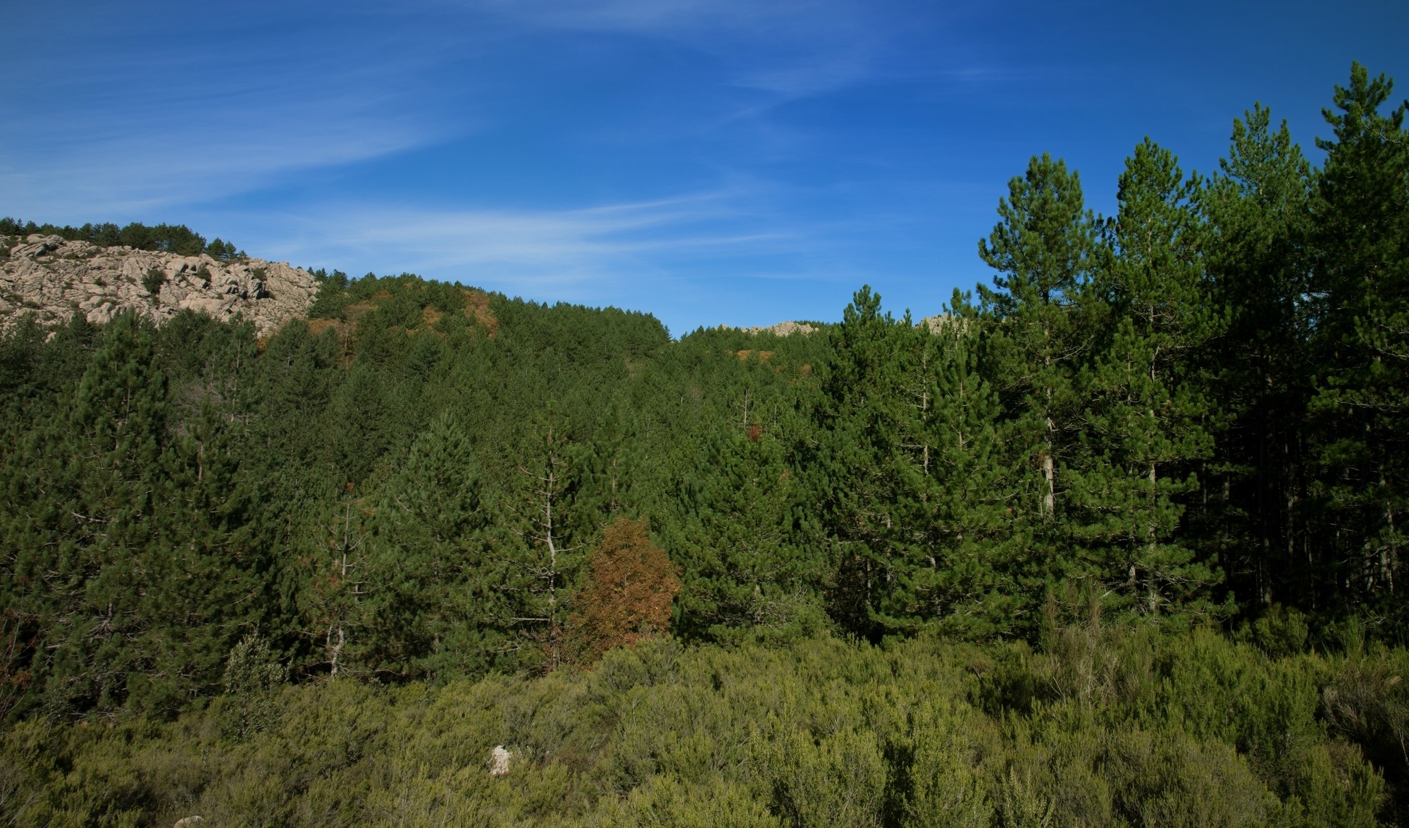 monte limbara