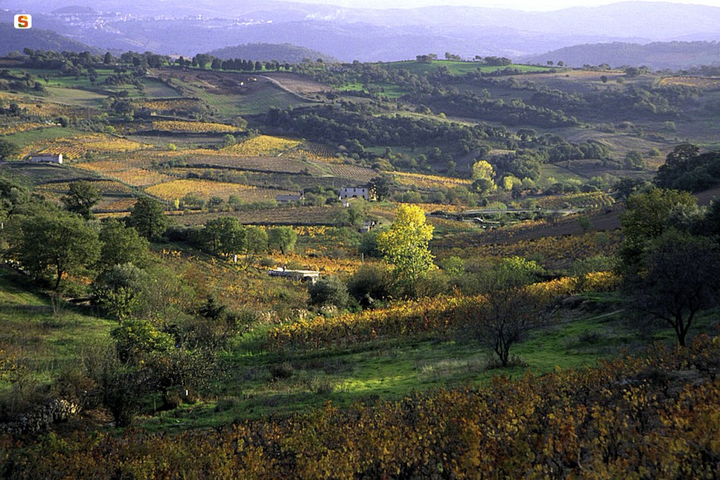 vigneti_e_territorio_-_atzara